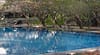 3-Royal-Ambarrukmo-Yogyakarta-Pool