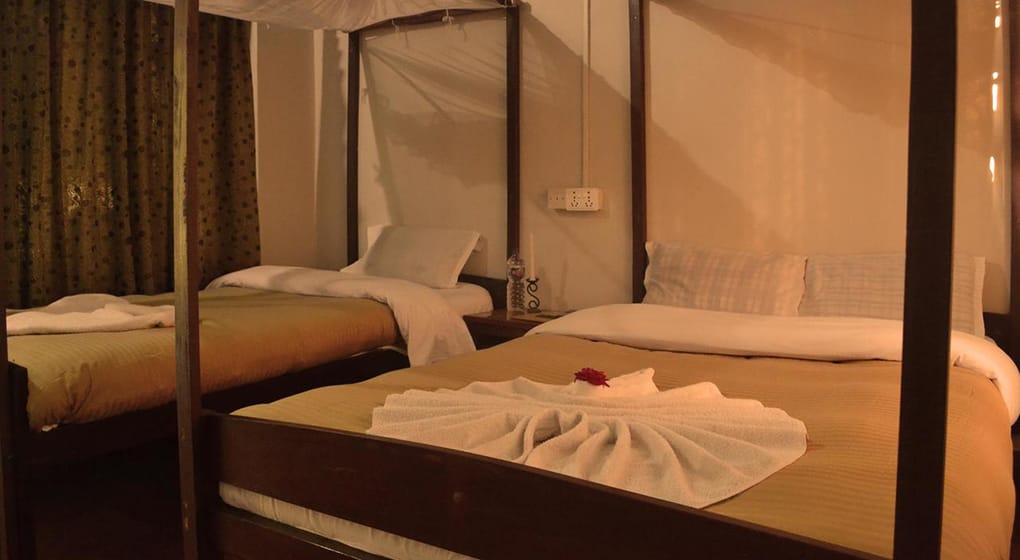 1-Hotel-Riverview-Chitwan-Bedroom