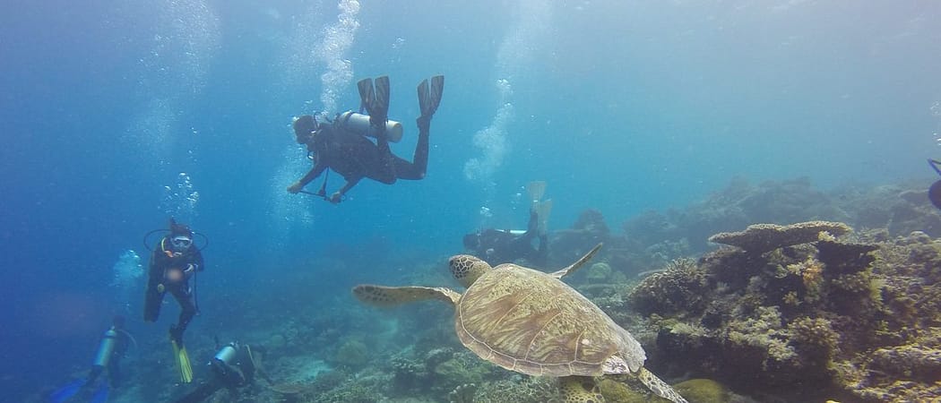 scuba diving, scuba, diving-1300852 scuba diving, scuba, diving