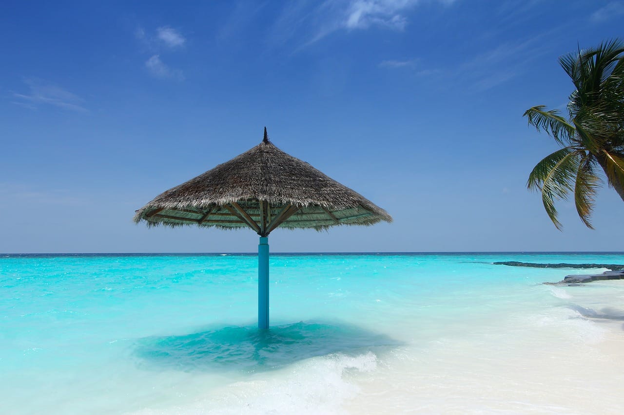 maldives, palm trees, beach