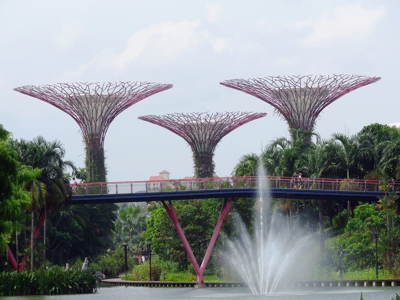 singapore, garden by the bay, marina